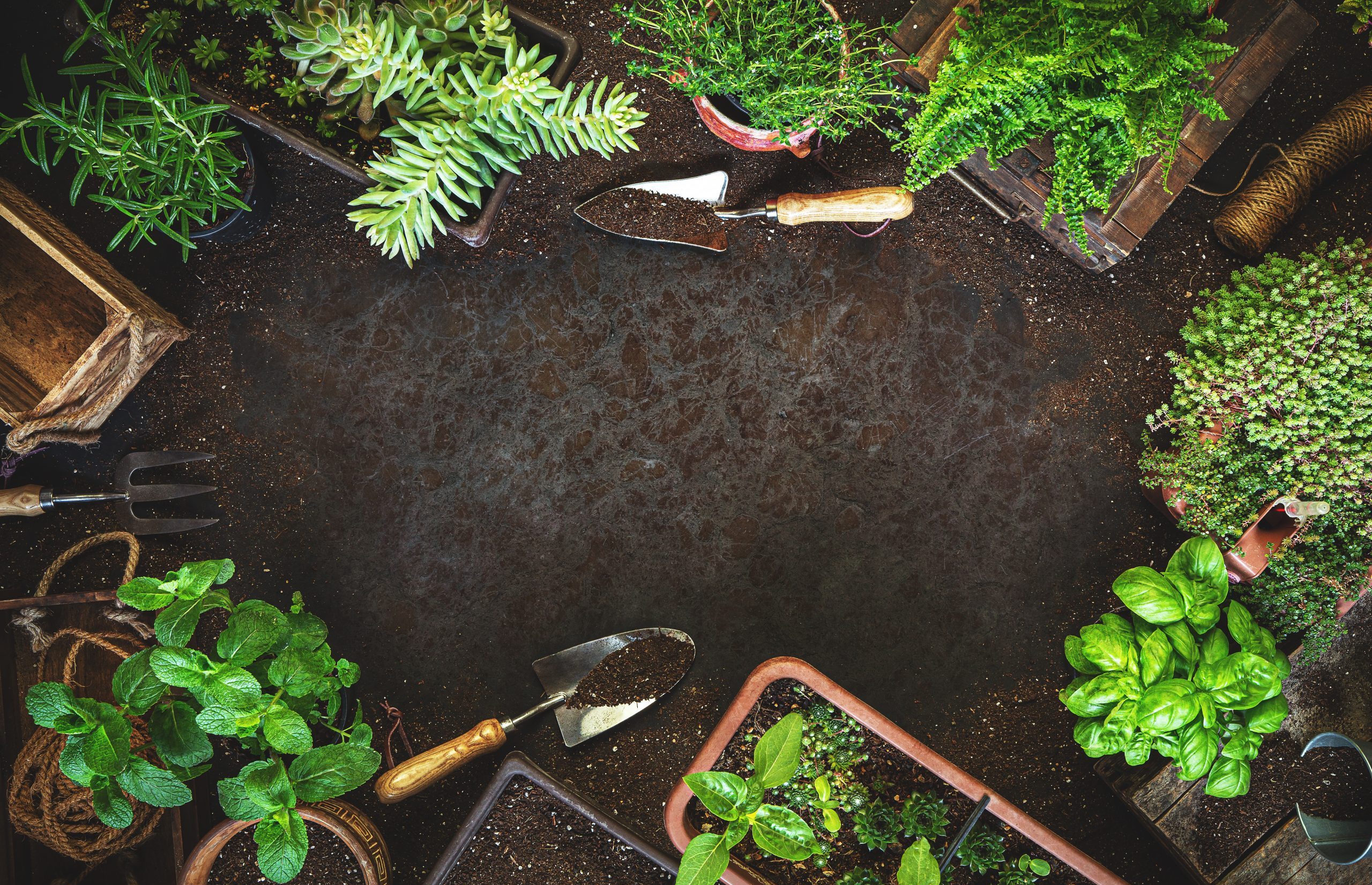 header image Midlands Compost - gardening background with garden tolls A9BGNJU scaled e1590252347210