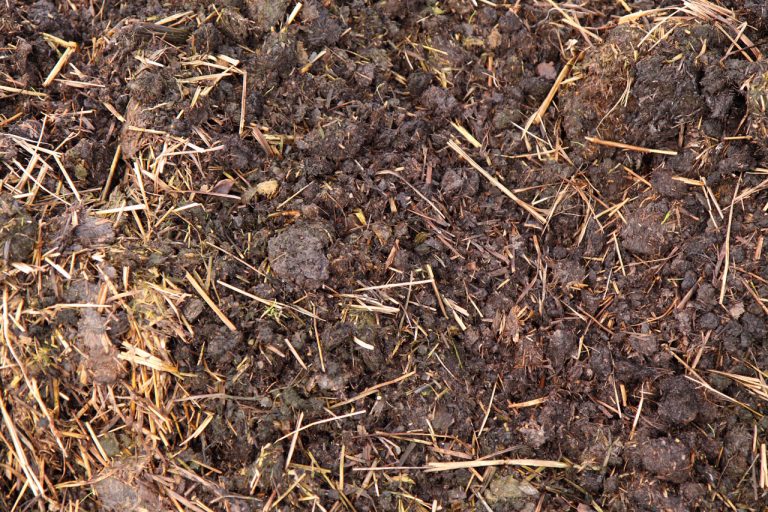 Manure Well Rotted 50litre Bag Midlands Compost